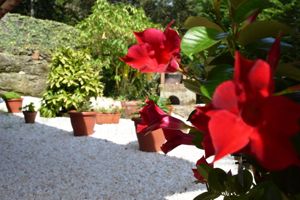 Detalles Jardinería Detalles Jardinería